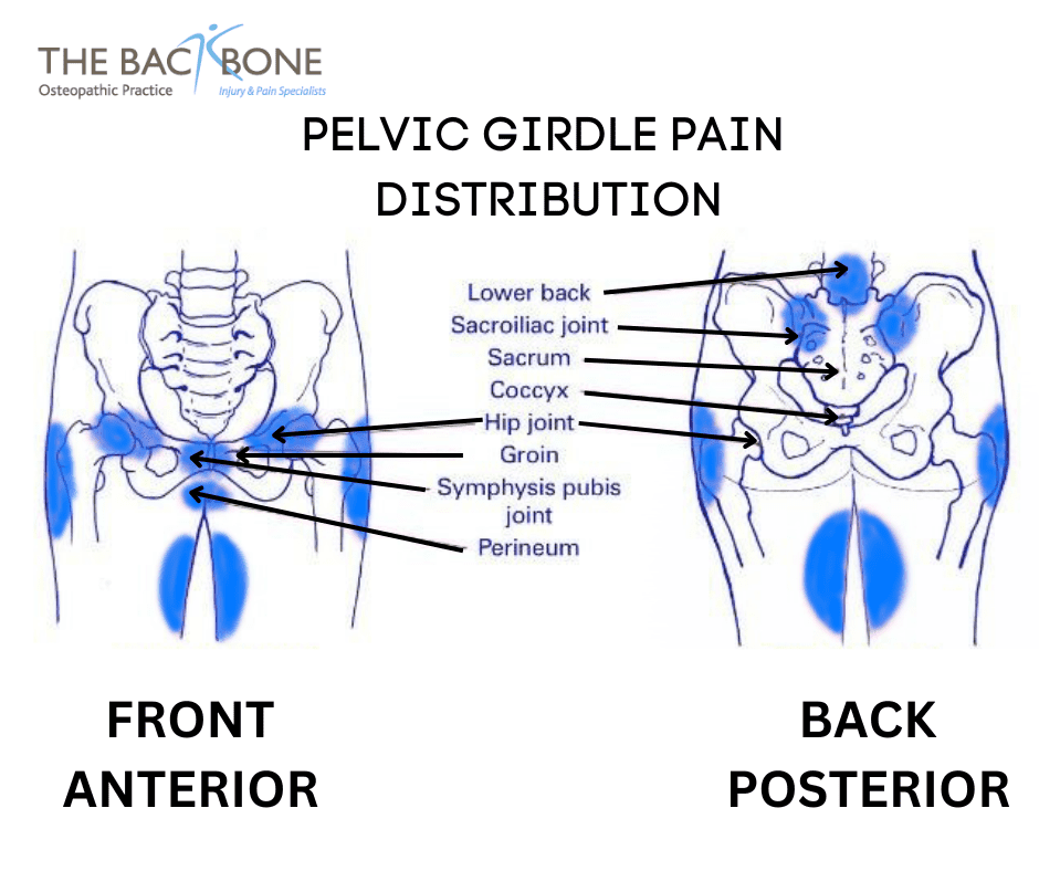 PGP Pelvic girdle pain, postnatal, womens health Osteopathy, Antenatal, pregnancy, PSD, pubic symphysis disorder, The Backbone Osteopathy Clinic North London, Southgate N14 6EB